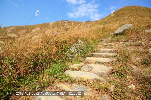 山上的石頭路