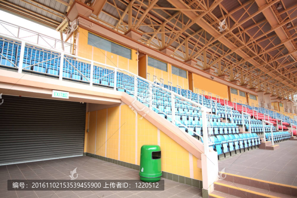 體育場塑料座椅