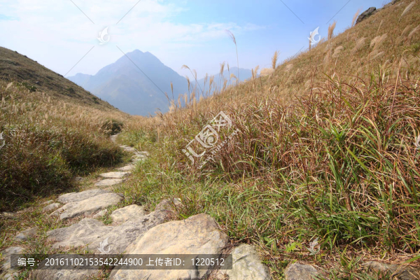 山上的石頭路