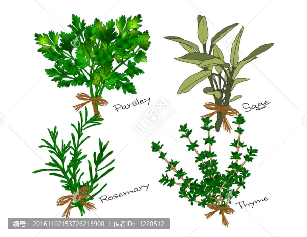 斯卡布羅集市的草藥