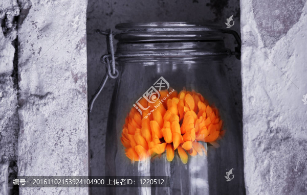 漂亮的玻璃花