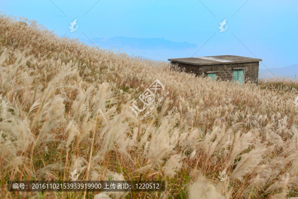 山上有草的老石屋
