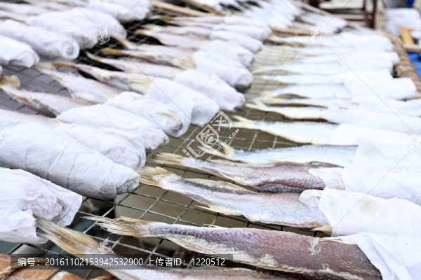 干魚(yú)
