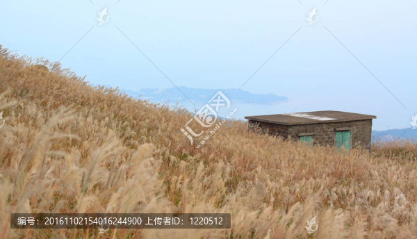 山上有草的老石屋