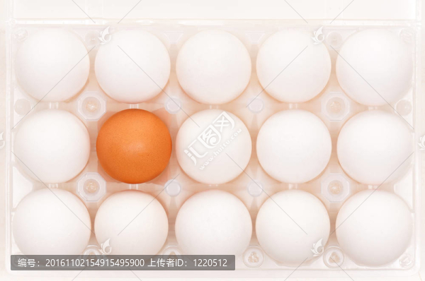 雞蛋盒