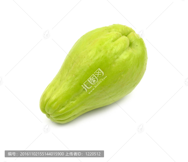 佛手瓜；Sechium,edule