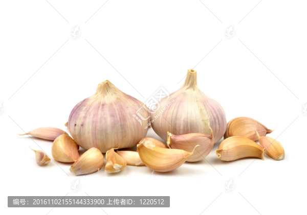 大蒜中分離