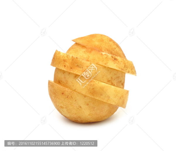 馬鈴薯離體