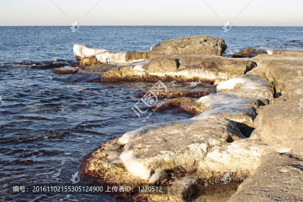 里海的冬季海岸。