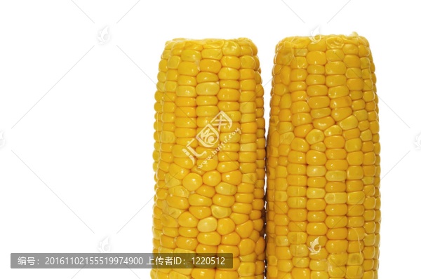 玉米芯