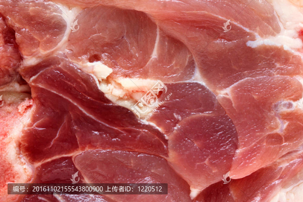 豬肉近距離背景