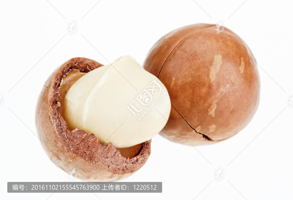 殼和帶殼堅果白色隔離
