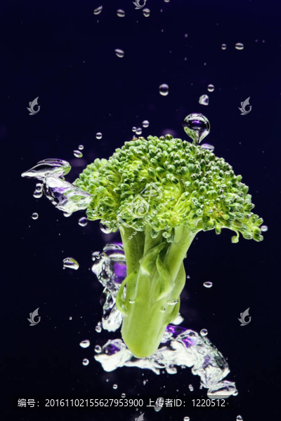 綠花椰菜與氣泡落入水中