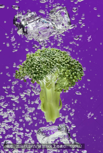 綠花椰菜與氣泡落入水中