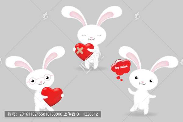兔
