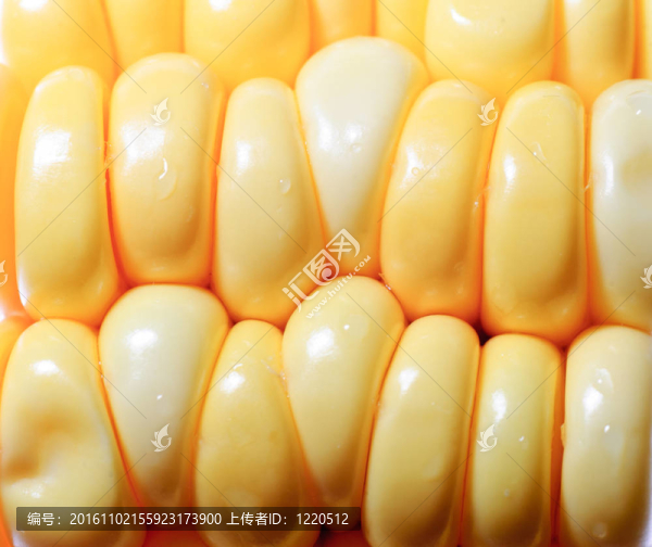 玉米