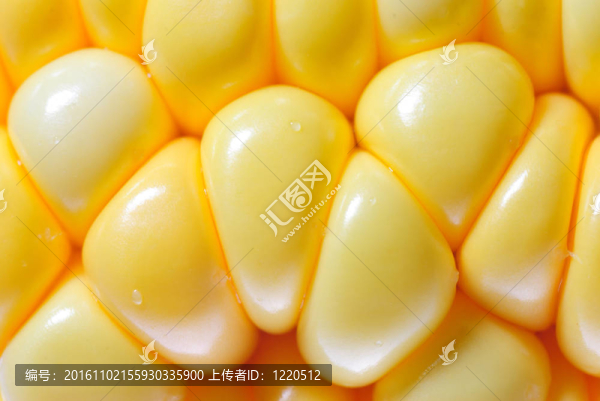玉米