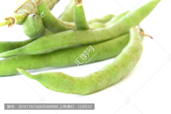 綠豆莢細(xì)節(jié)