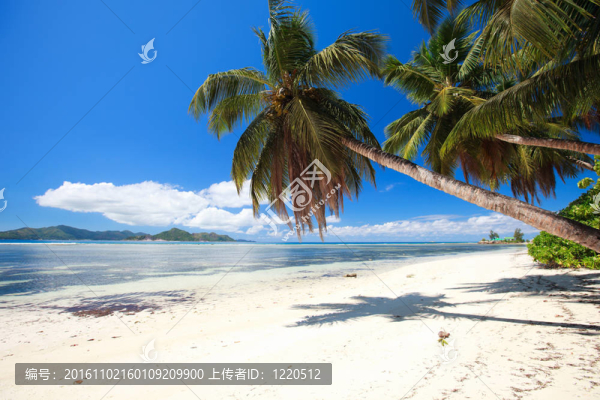 塞舌爾的完美海灘
