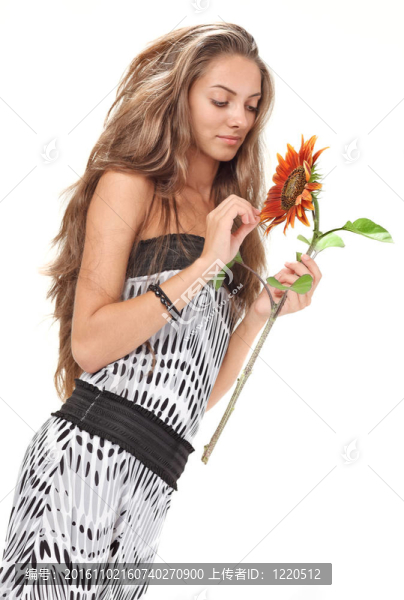 年輕的漂亮女孩長著白色的向日葵