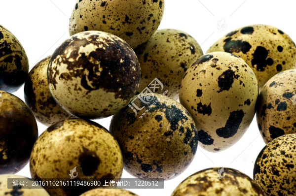 鵪鶉蛋