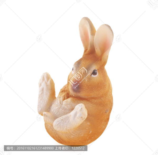 兔