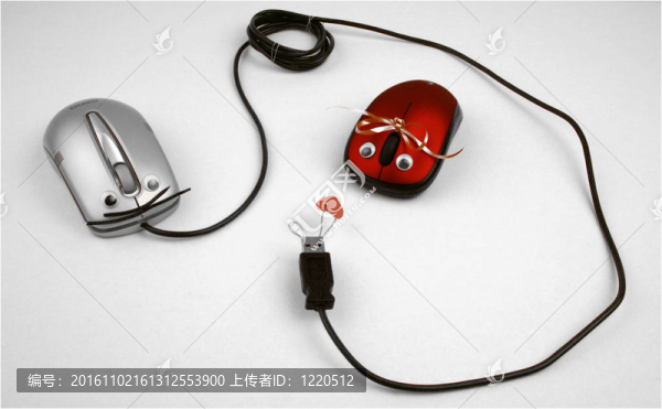老鼠愛