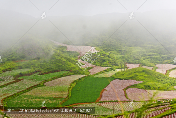 美麗田園