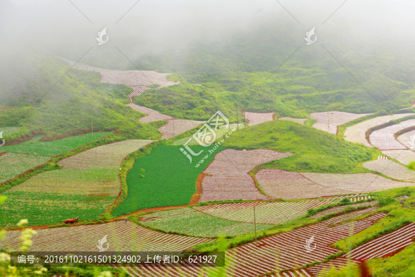 美麗田園