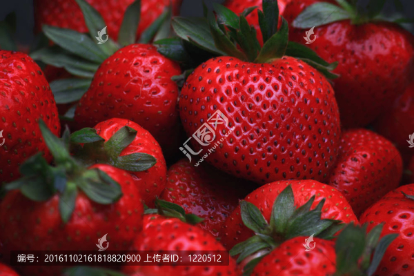 新鮮草莓