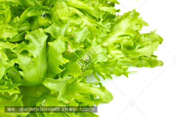 鮮葉沙拉分離