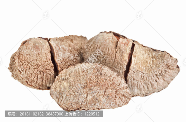 少數(shù)全殼巴西堅(jiān)果在白色上分離
