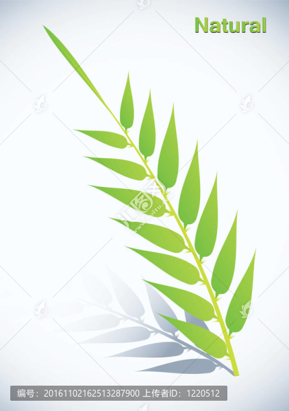 苗