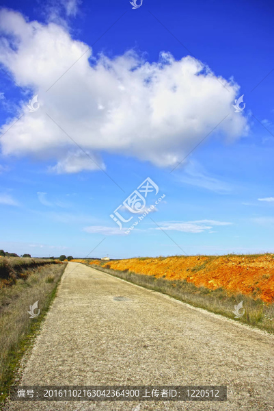 舊路和云。