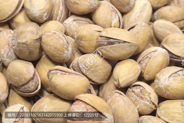許多成熟的開(kāi)心果特寫(xiě)