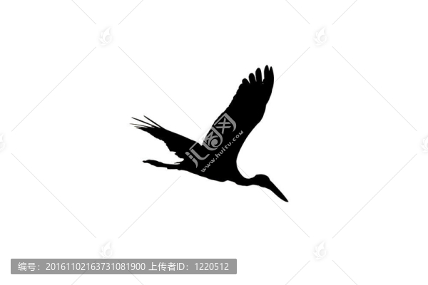 亞洲開(kāi)放比爾鸛