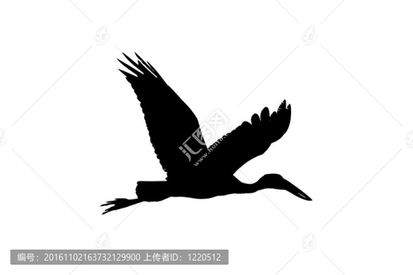 亞洲開放比爾鸛