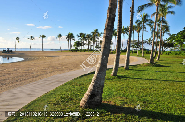 棕櫚樹沿著一條小路繞著一個(gè)海灘