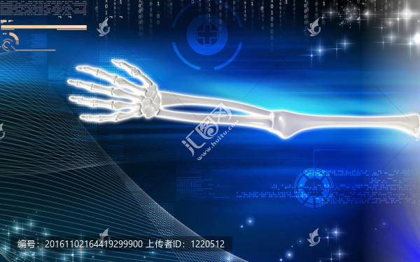 手骨