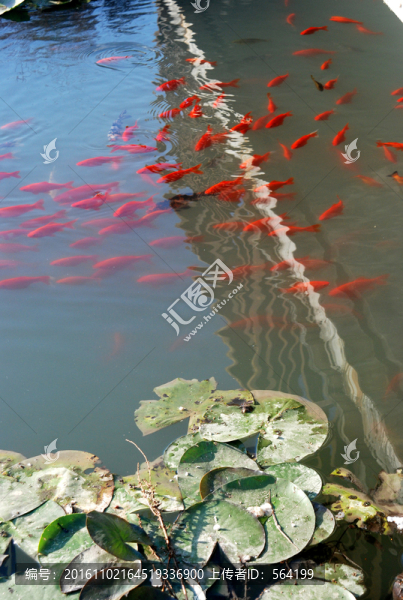 北京奧森公園,,,潛流濕地