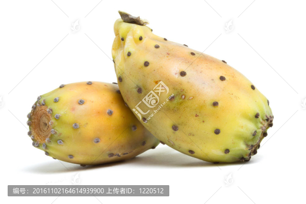 多刺的梨樹