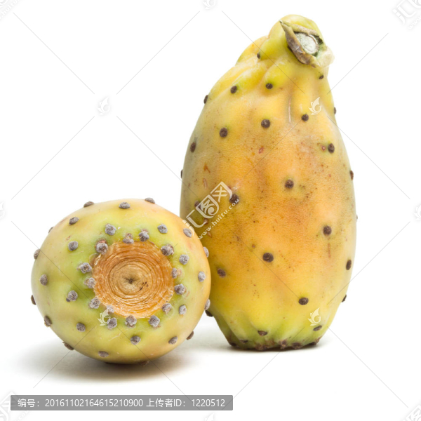 多刺的梨樹