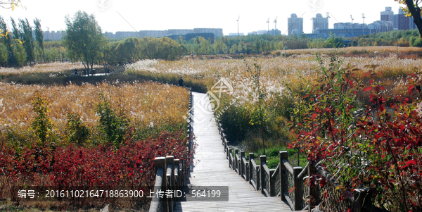 奧森公園,潛流濕地,沉水廊橋