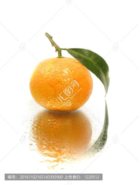 Tangerine夜店的離開
