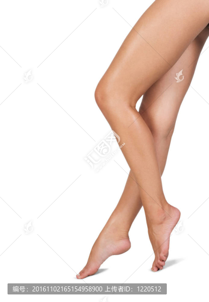 性感的女人的腿