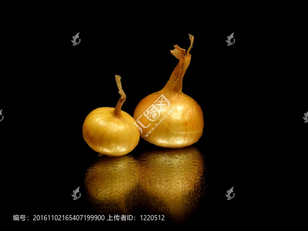 泡洋蔥