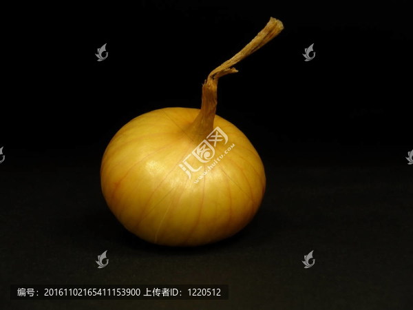 泡洋蔥