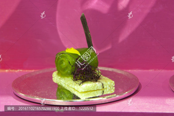 指食品藝術(shù)