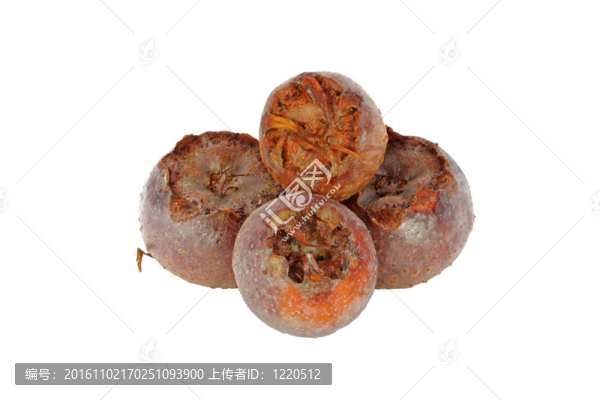 枸杞的果實
