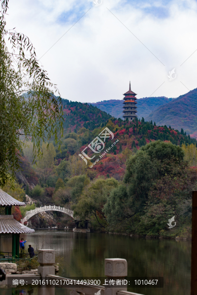 紅葉谷景色